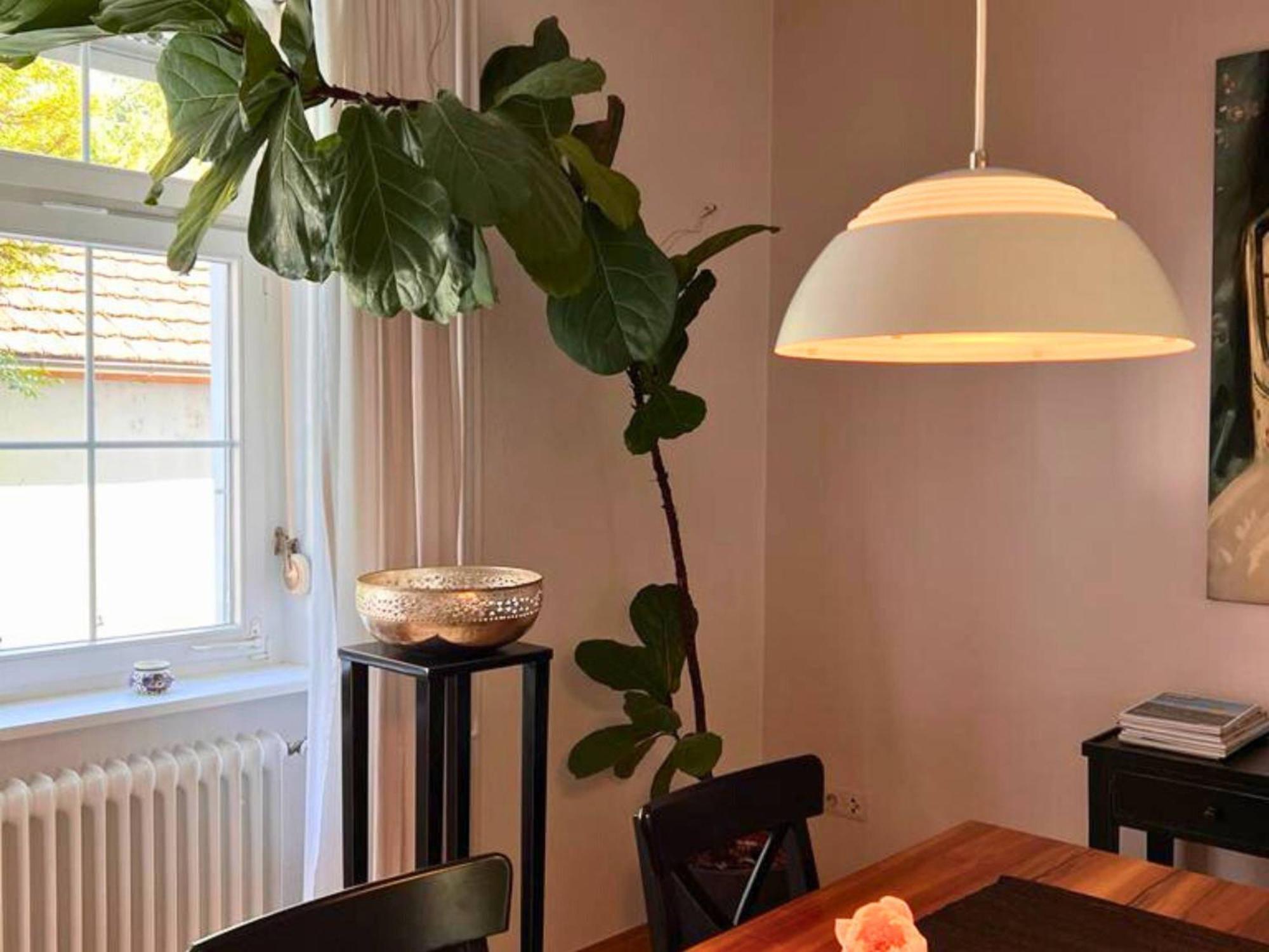 Apartment Seeglueck Seeliebe - Charmante Jugendstilwohnung Mit Parkplatz Direkt Im Zentrum Nahe Bahnhof Und Seeufer In